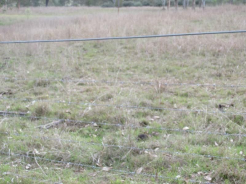 Moolboolaman QLD 4671