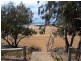 Innes Park QLD 4670