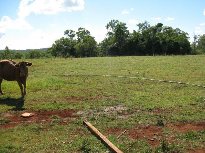 Apple Tree Creek QLD 4660