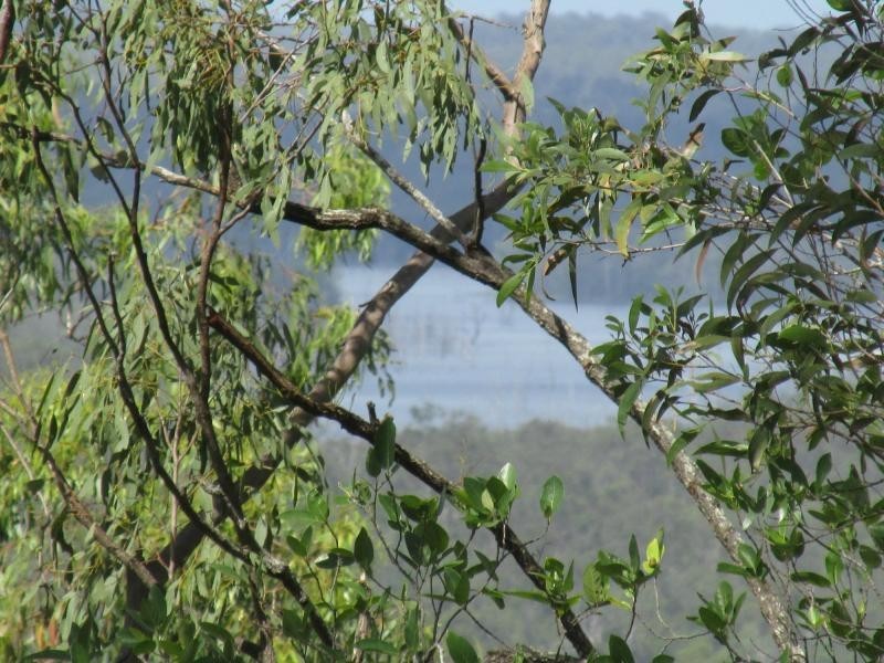 Kolonga QLD 4671