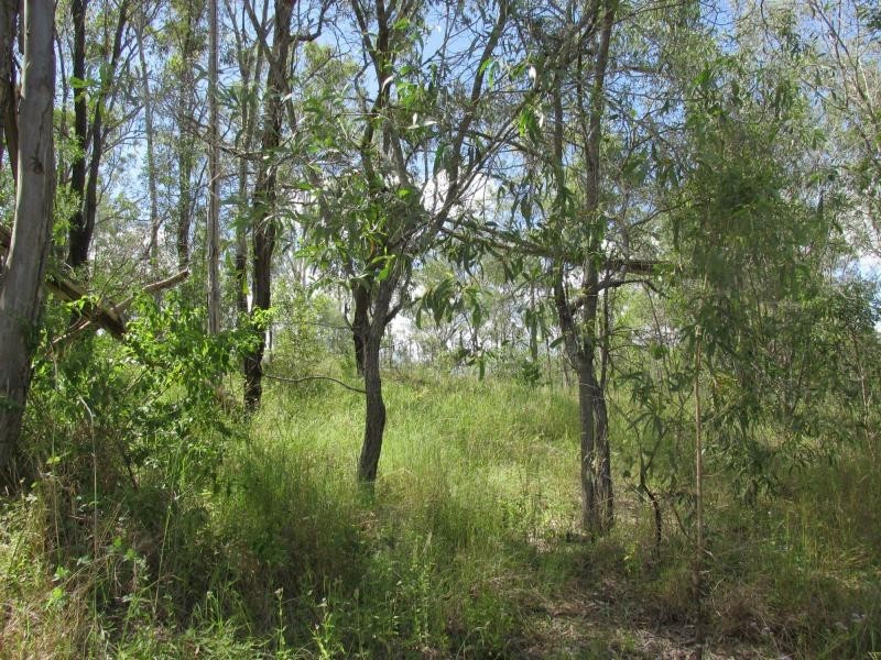 Kolonga QLD 4671