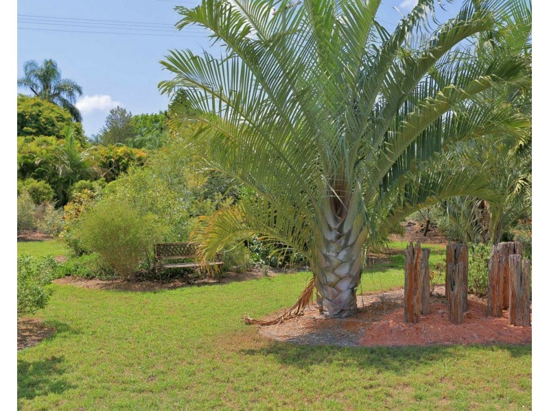 66 Davis Road, Sharon QLD 4670