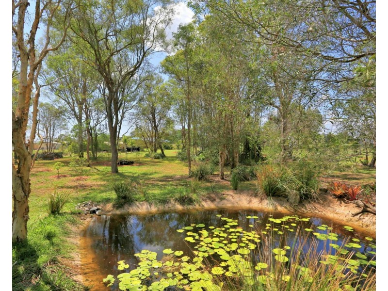 66 Davis Road, Sharon QLD 4670