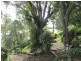 Bucca QLD 4670