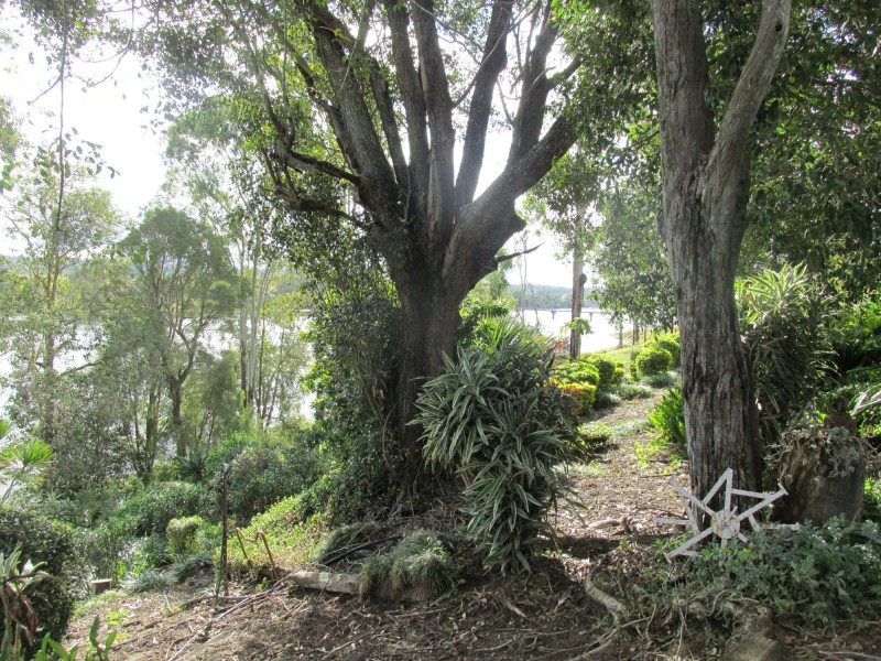 Bucca QLD 4670