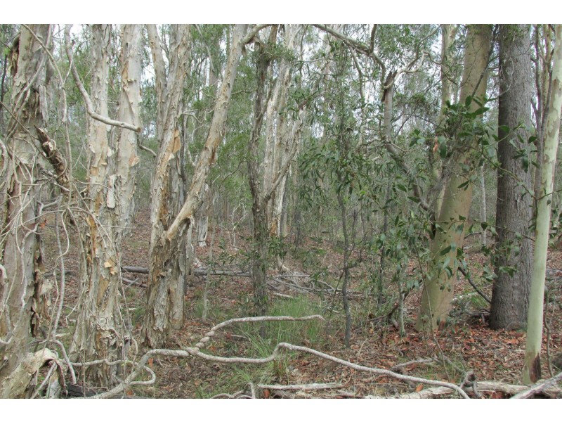 Pine Creek QLD 4670