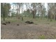 Pine Creek QLD 4670