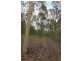 Pine Creek QLD 4670