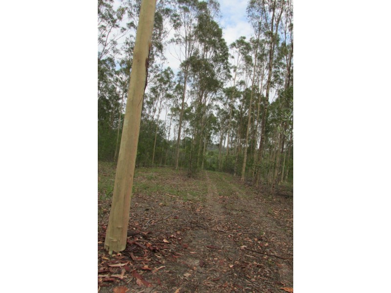 Pine Creek QLD 4670