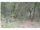 Pine Creek QLD 4670