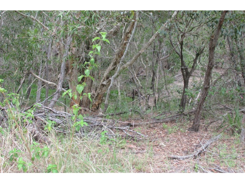 Pine Creek QLD 4670