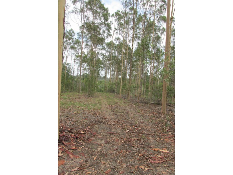 Pine Creek QLD 4670