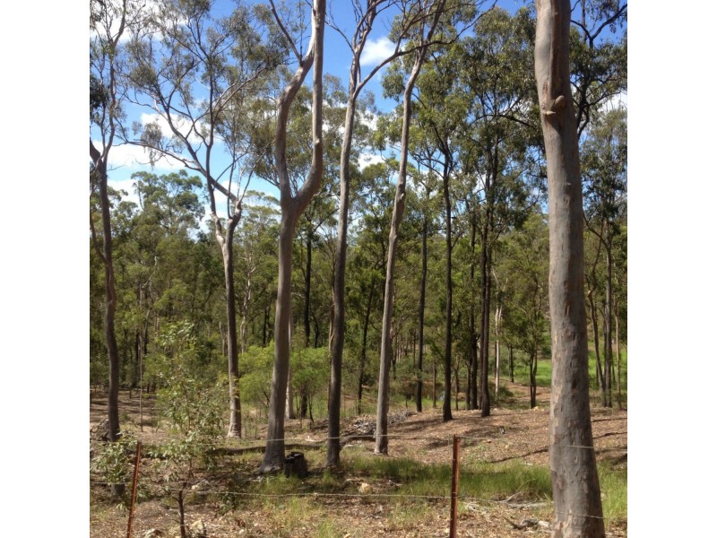 South Bingera QLD 4670