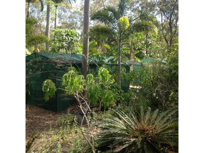 South Bingera QLD 4670