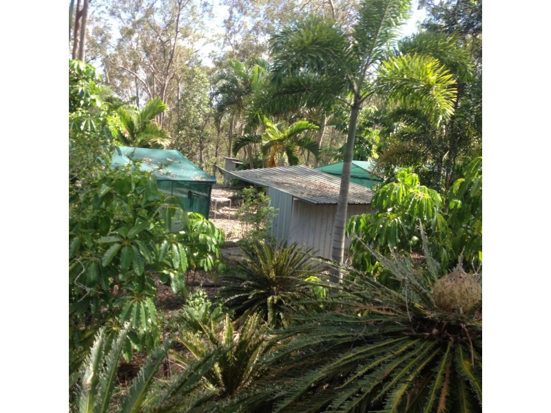 South Bingera QLD 4670