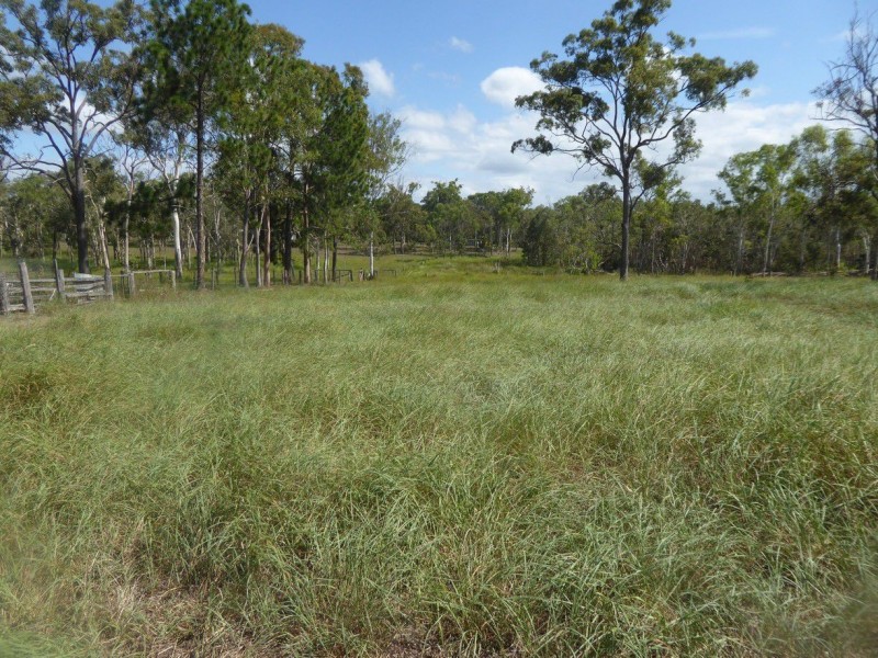 542 QUINNS Road, Bucca QLD 4670