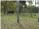 542 QUINNS Road, Bucca QLD 4670