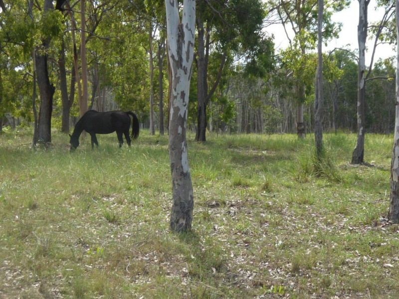 542 QUINNS Road, Bucca QLD 4670
