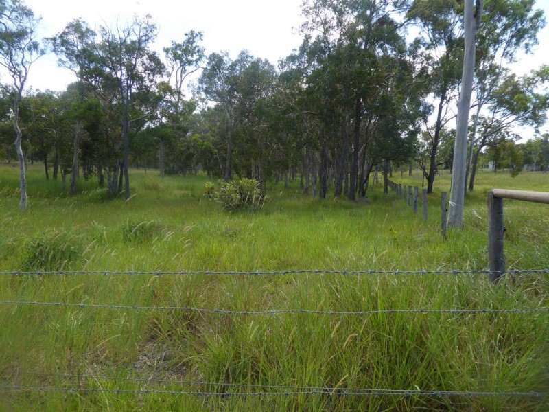 542 QUINNS Road, Bucca QLD 4670