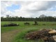 South Kolan QLD 4670