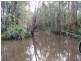 South Kolan QLD 4670