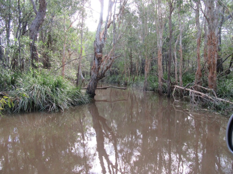 South Kolan QLD 4670