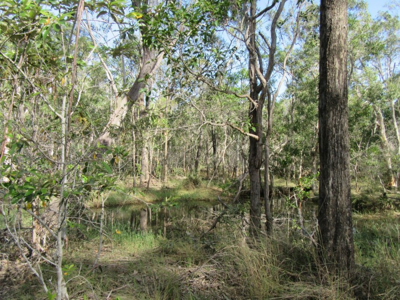South Kolan QLD 4670