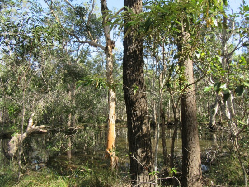 South Kolan QLD 4670