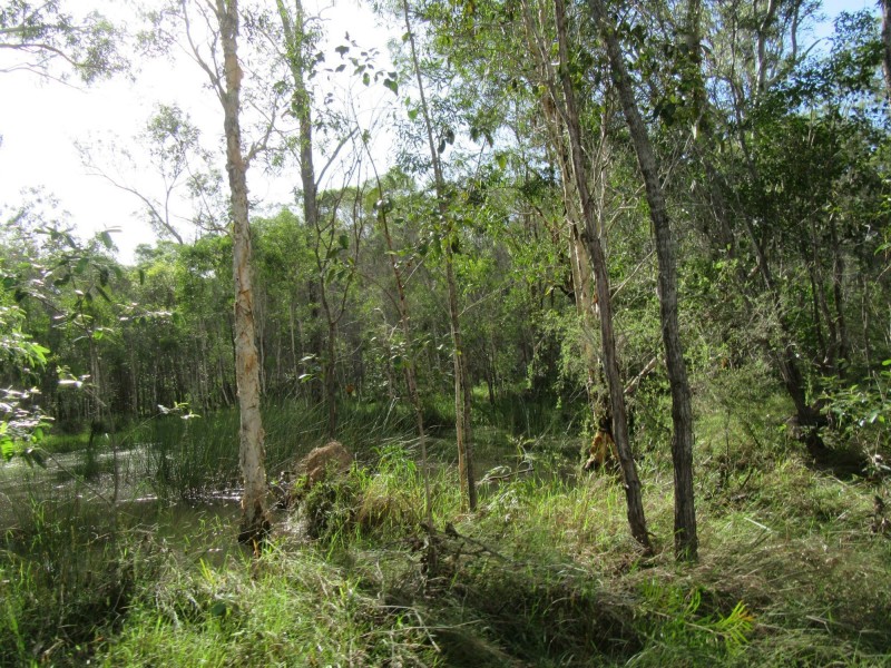 South Kolan QLD 4670