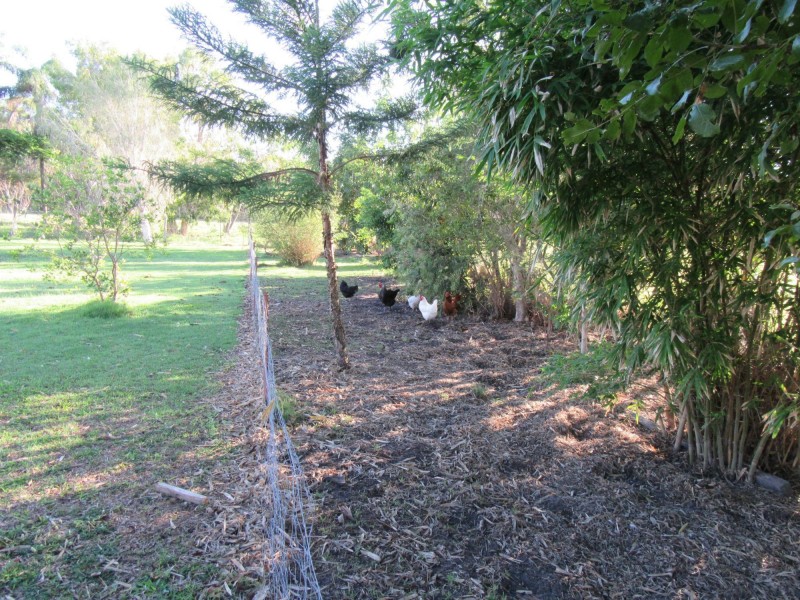 32 Henricksens Road, Sharon QLD 4670