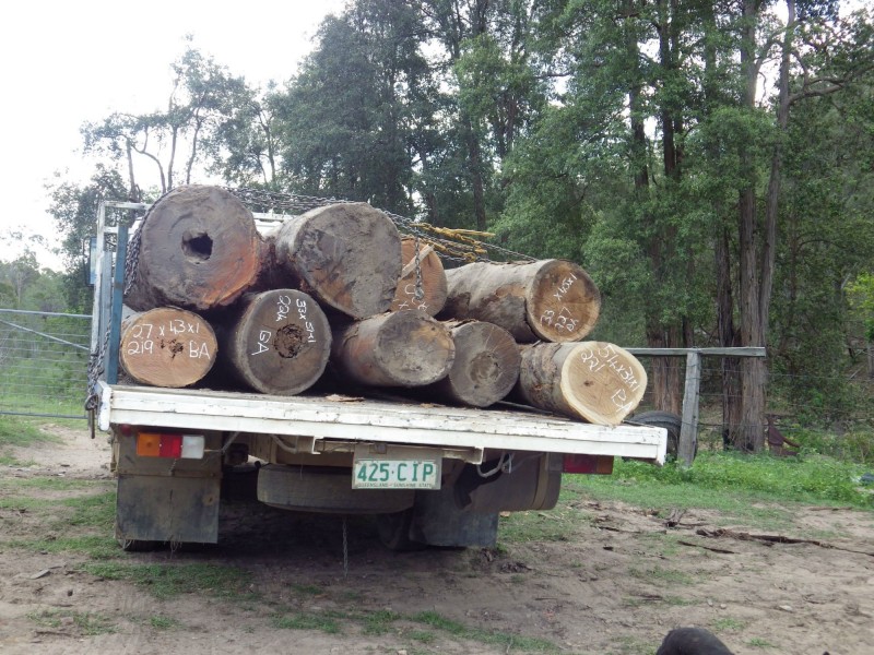 Mount Perry QLD 4671