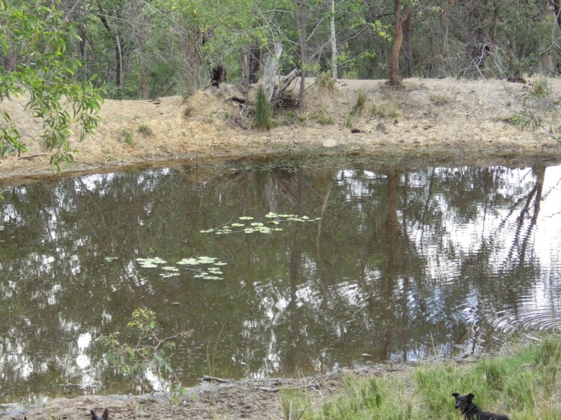 Mount Perry QLD 4671