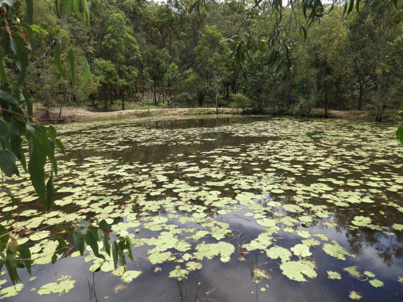 Mount Perry QLD 4671