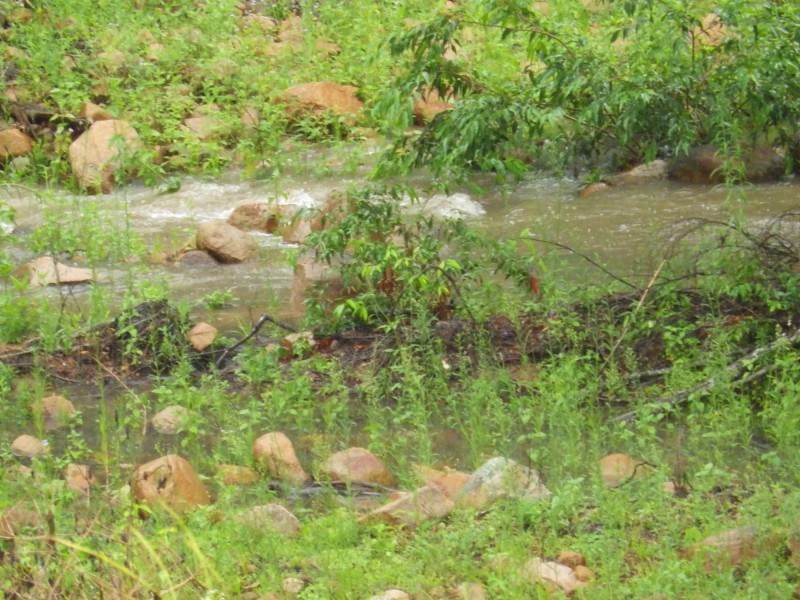 Mount Perry QLD 4671