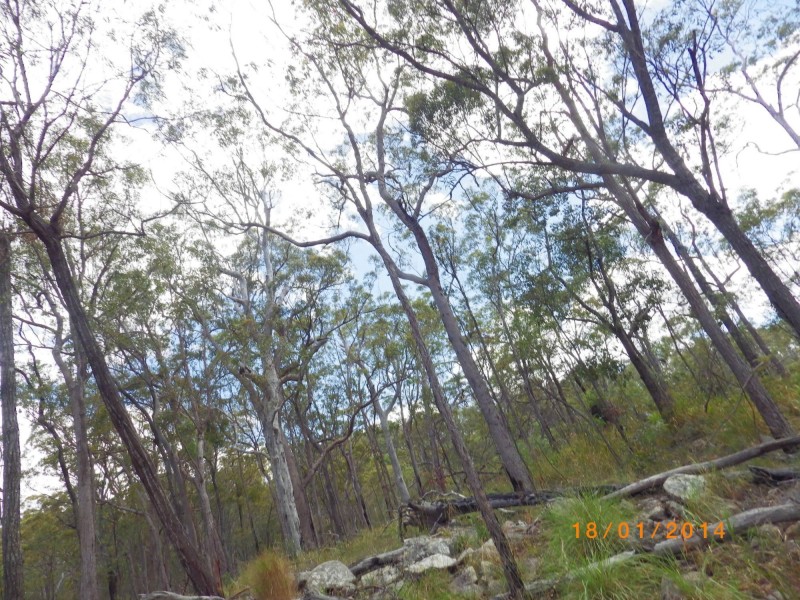 Mount Perry QLD 4671