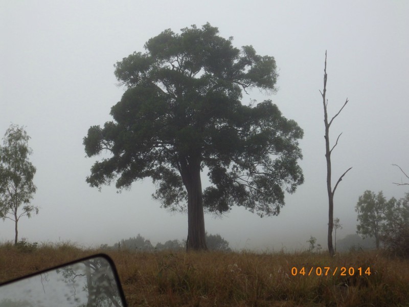 Mount Perry QLD 4671