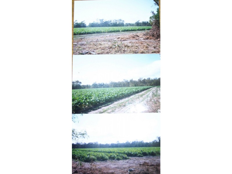 Bullyard QLD 4671