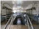 Moonford QLD 4630
