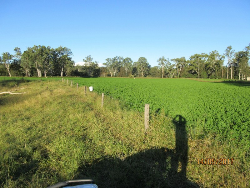 Monto QLD 4630
