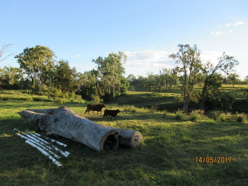 Monto QLD 4630