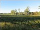 Monto QLD 4630