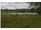 Monto QLD 4630