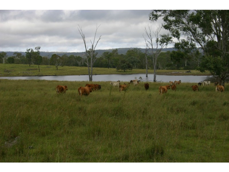 Monto QLD 4630