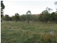 Monto QLD 4630