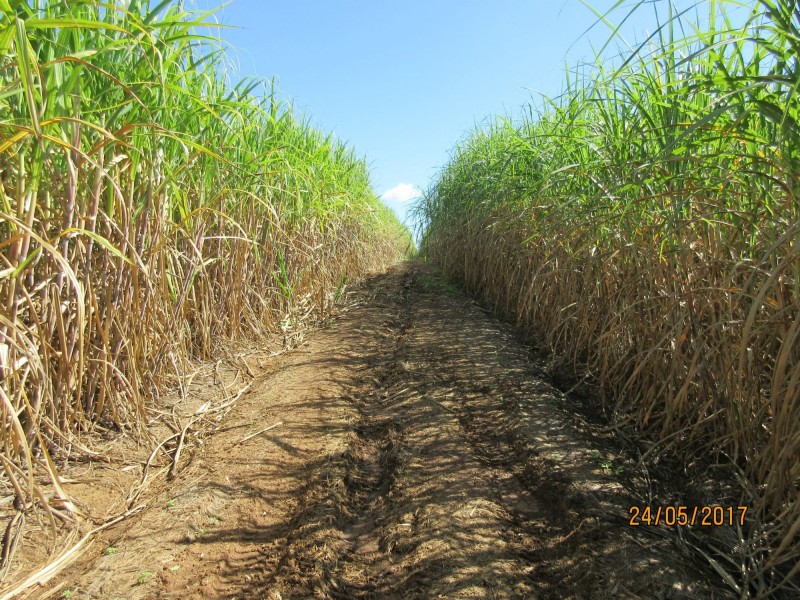 Bucca QLD 4670