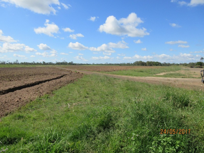 Bucca QLD 4670