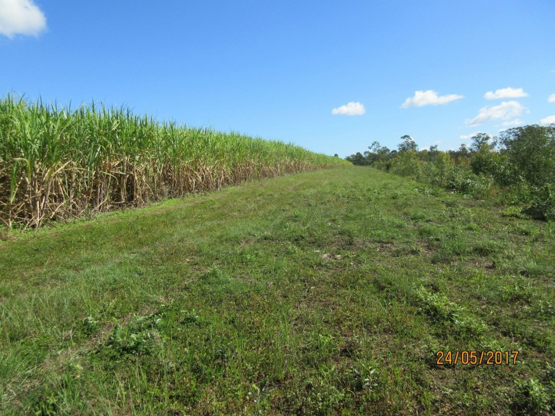 Bucca QLD 4670