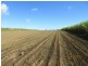 Bucca QLD 4670