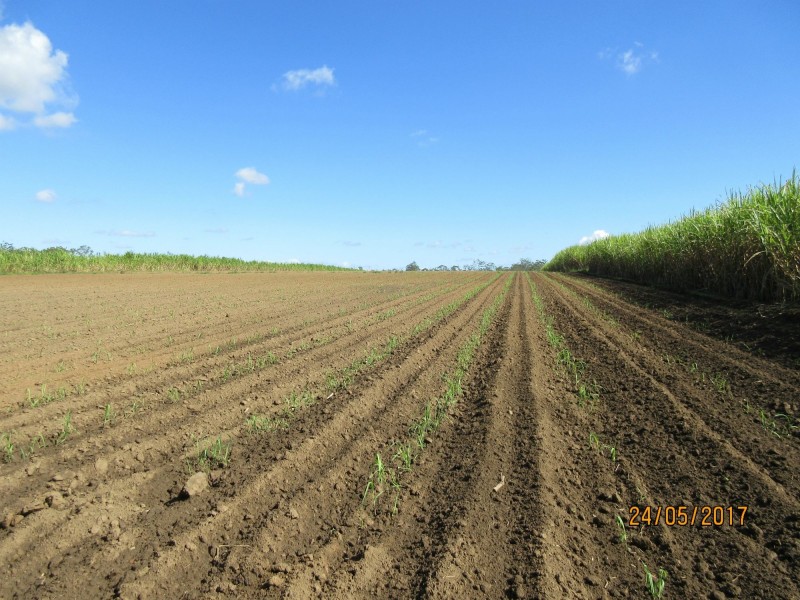 Bucca QLD 4670