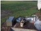 Elliott QLD 4670